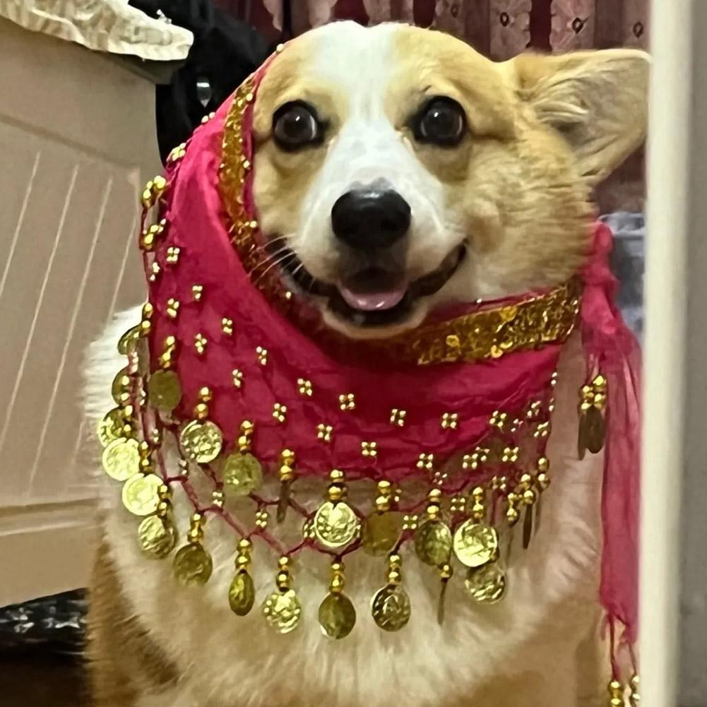 Dog Booty Shake Dance Booty To - Printed Wrap Skirt recension och pris