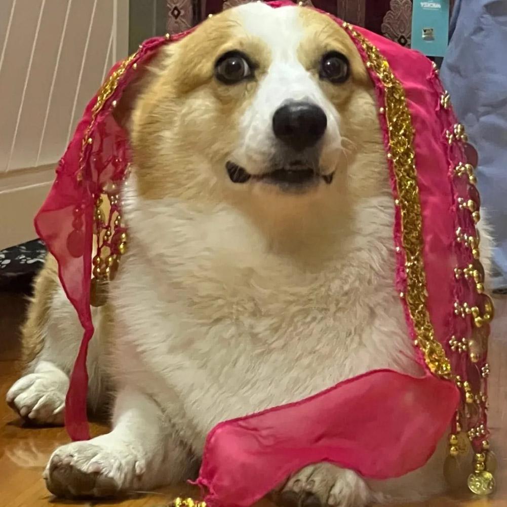 Dog Booty Shake Dance Booty To - Printed Wrap Skirt recension och pris