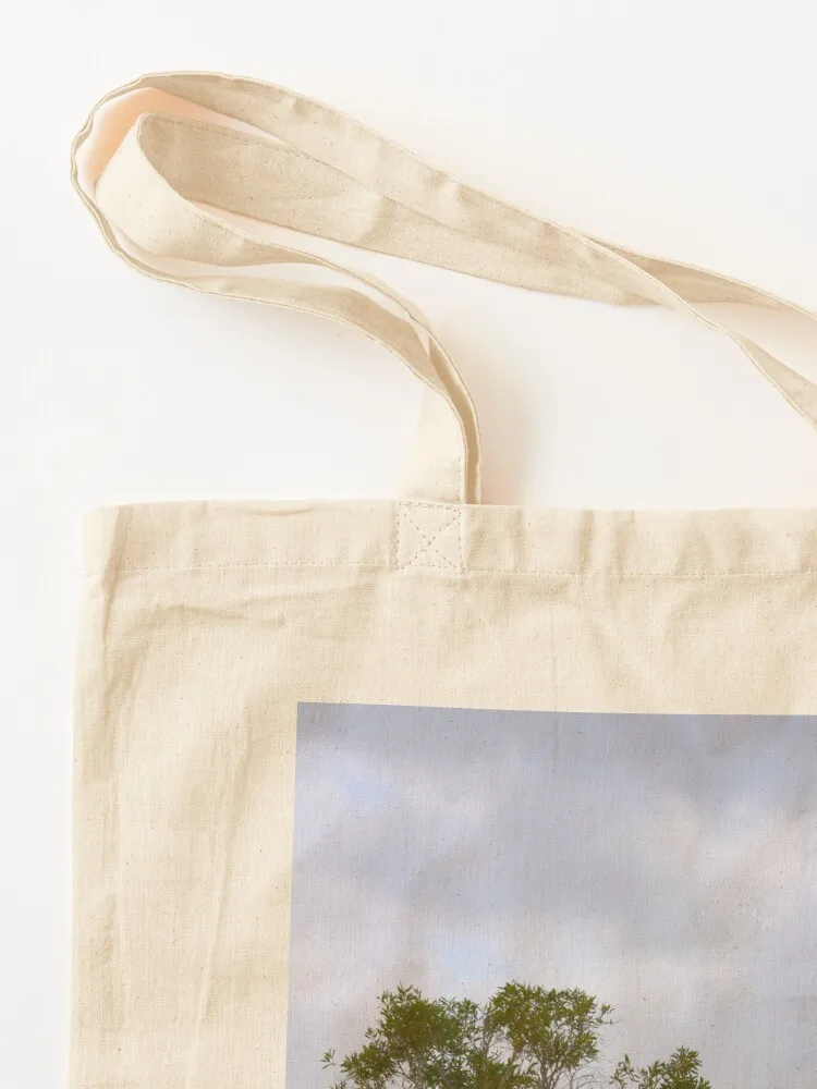 Tree at Lake Mackenzie, Fraser - Women'S Fashion Queensland recension och pris